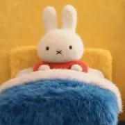 あじゅみ[断捨離中]の画像