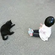 注意 要コメント！の画像