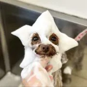 ☆りえりん☆の画像