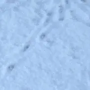 bの画像