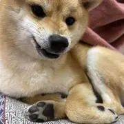 とむやむくん