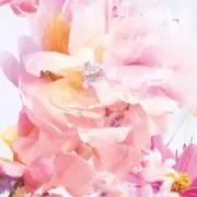 HALの画像