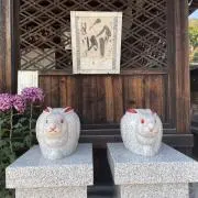 くろうさ