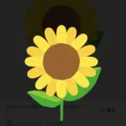 ひまわり。の画像