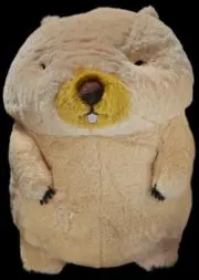 mumumuの画像