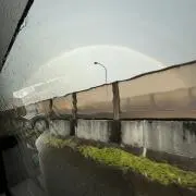 みーマの画像
