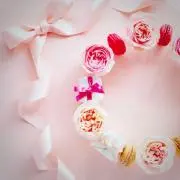 Echi-Oの画像