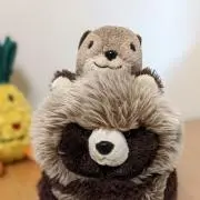 つぶたろうの画像