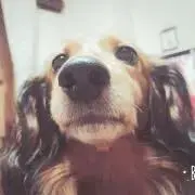 かんたの画像