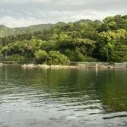 lliyの画像