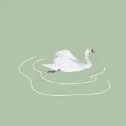 nocoの画像