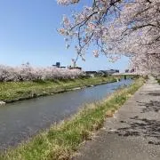 太平【全品匿名配送】の画像