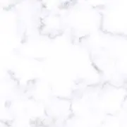 きせの画像
