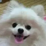 キキララさん専用ページ 動作未確認くまのプーさん おはなししようよ