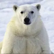 umiの画像