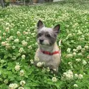 くるみの画像