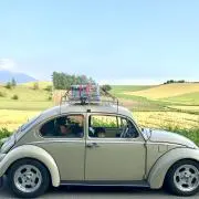 556の画像