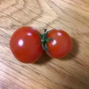 mimaの画像
