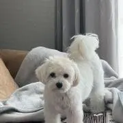 ☆ⓐⓚⓐⓡⓘ☆