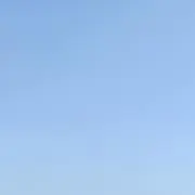 ゆの画像
