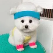 ななの画像