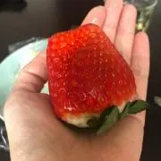 明菜の画像