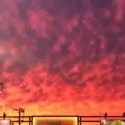 YUmaの画像
