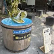 鯱の画像