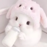 momo様専用 - メルカリ