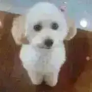 値段交渉OKの画像