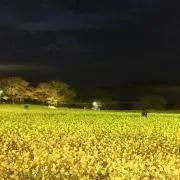 moniの画像
