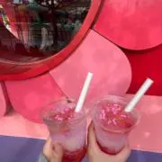みみの画像
