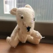 ネコヘルパーの画像