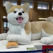 みさの画像
