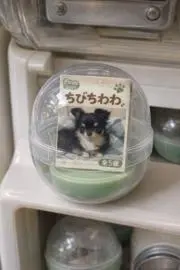 断捨離値下げ中  Aliceの画像