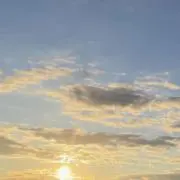 はにぽんの画像
