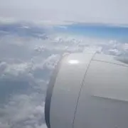 Banbanの画像