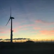 しょうの画像