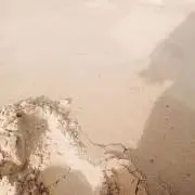 Mukuの画像