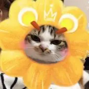 バッチ