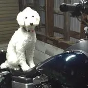 まっちゃんの画像