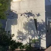 Yの画像