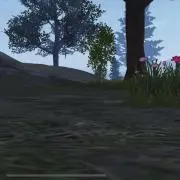 瘀血丸