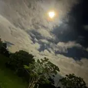 ベジータの画像