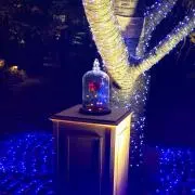 ベルの画像