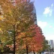 ゆふの画像