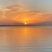 marimaの画像