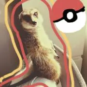 myaopiyoの画像