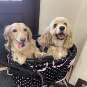 れおままの画像