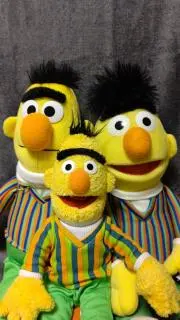 Bert41